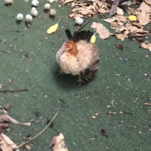 Meet your Posher, Stephen